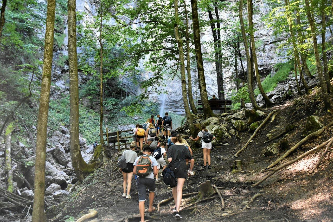 Groupe de randonneurs montant un sentier en forêt